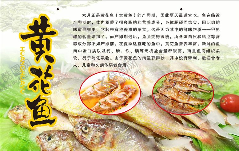 编号：75209609180542226505【酷图网】源文件下载-黄花鱼