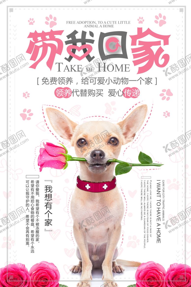编号：15847810291620228524【酷图网】源文件下载-宠物海报