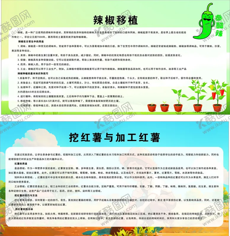 编号：56642602210023128182【酷图网】源文件下载-辣椒与红薯展板