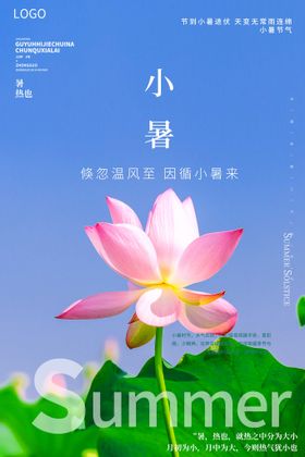 小暑荷花