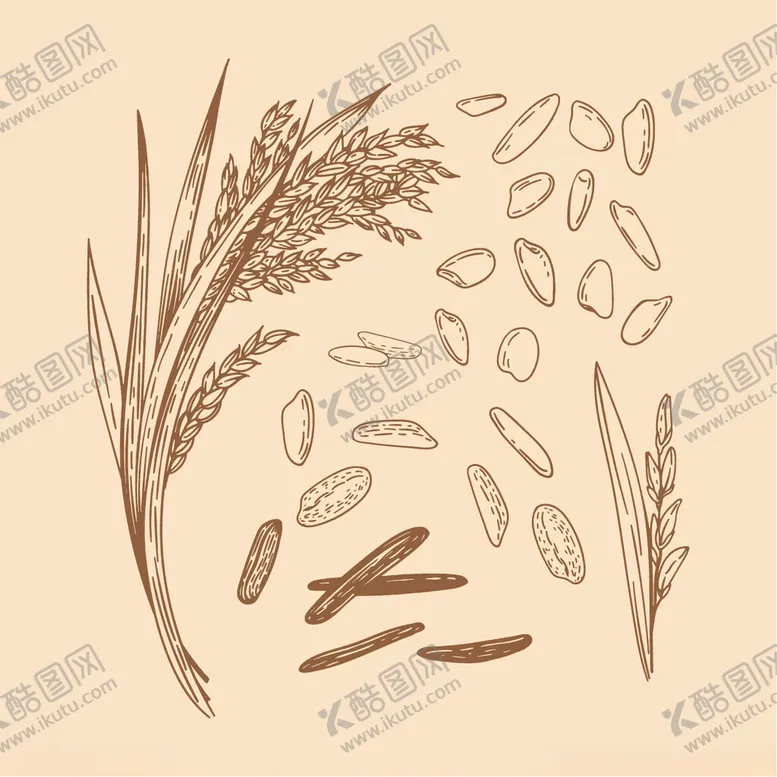 编号：27870402061131052154【酷图网】源文件下载-手绘版画水稻