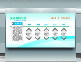 企业发展历程