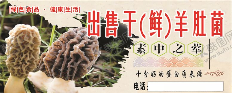 编号：93590610230109584356【酷图网】源文件下载-羊肚菌