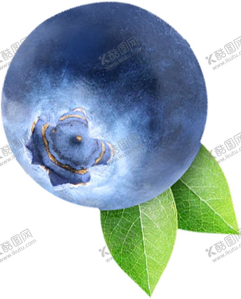 编号：55369607070544447680【酷图网】源文件下载-水果