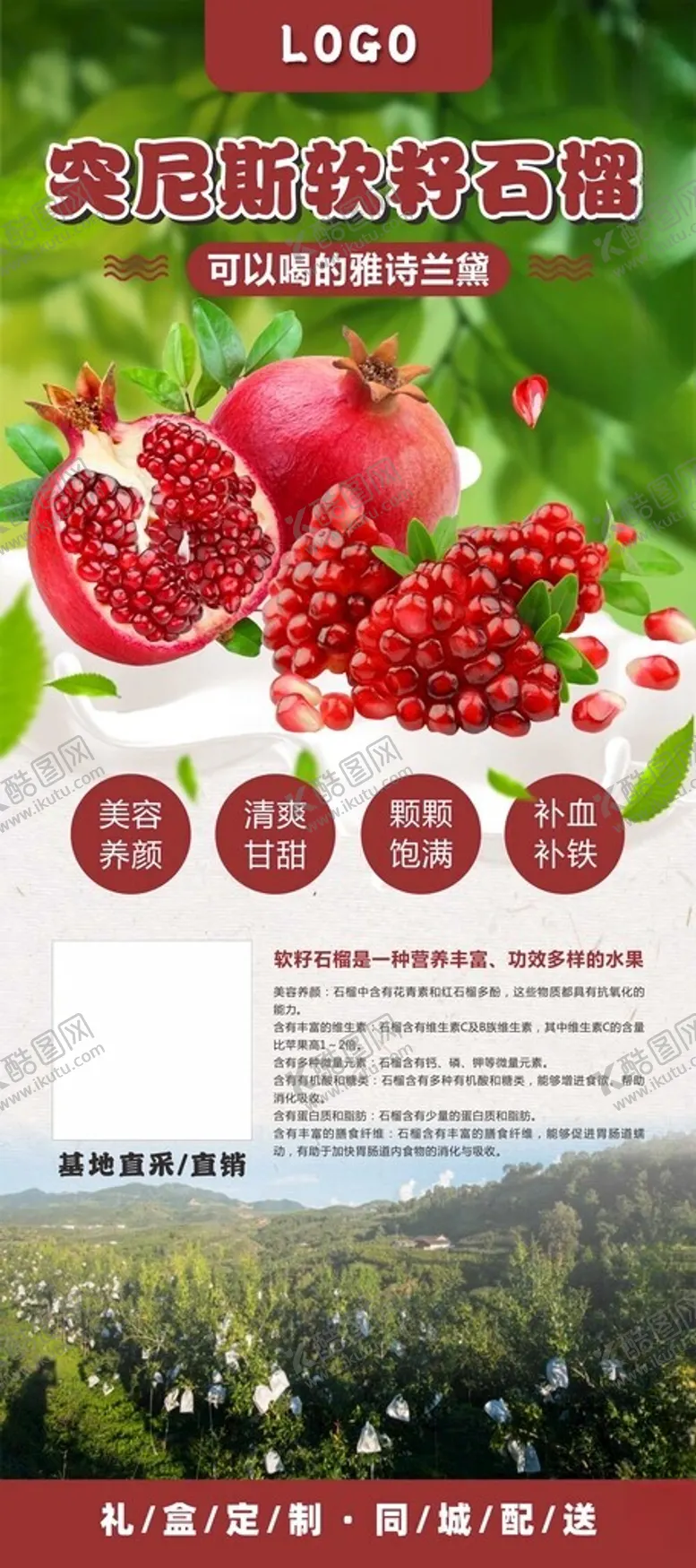 编号：28639002192046212732【酷图网】源文件下载-软籽石榴展架