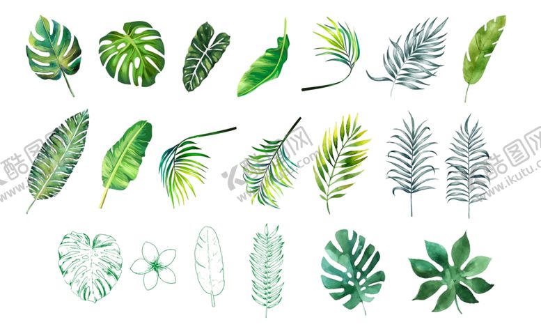 编号：18652409260756155145【酷图网】源文件下载-树叶素材