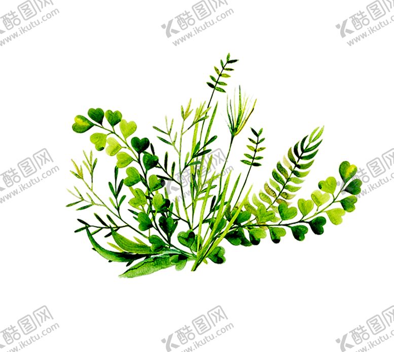 编号：73384810090558013283【酷图网】源文件下载-绿色装饰