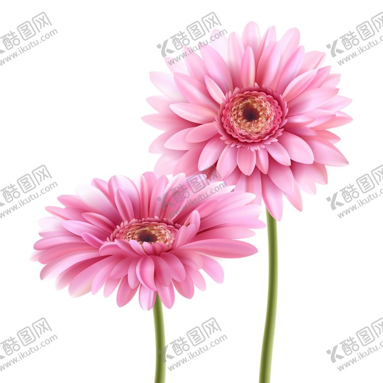 编号：36070710270416351462【酷图网】源文件下载-鲜花素材