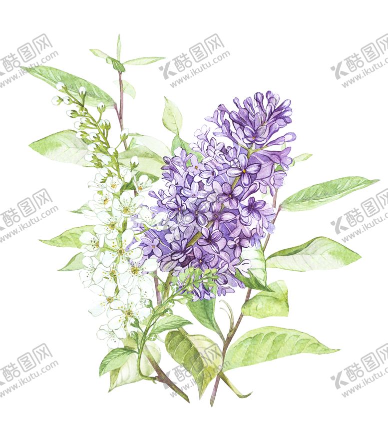 编号：96312007080546194259【酷图网】源文件下载-插画