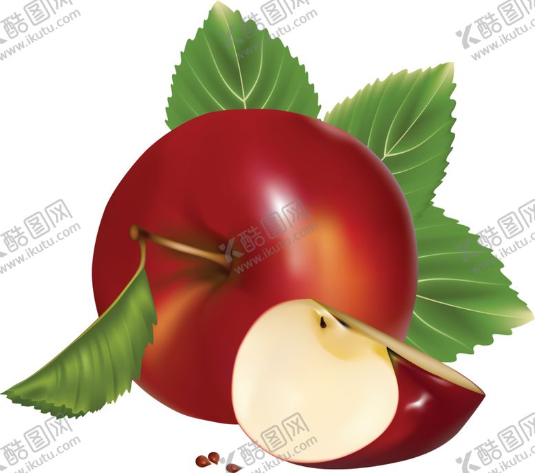 编号：73647509220928231330【酷图网】源文件下载-苹果