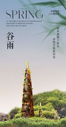 谷雨节气海报