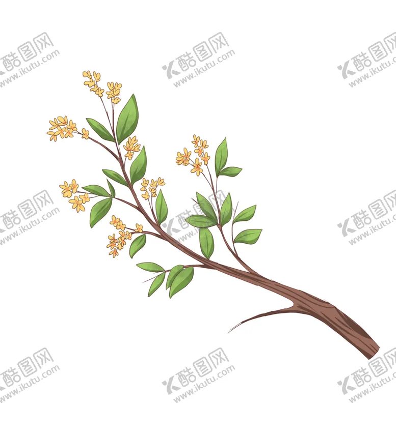 编号：68630302090856223933【酷图网】源文件下载-手绘桂花png免抠素材