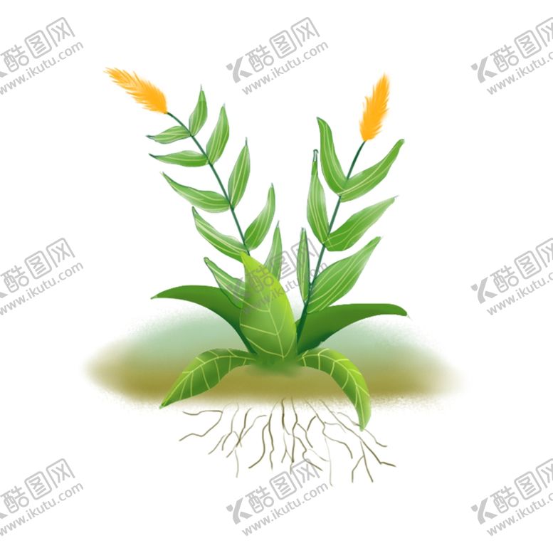 编号：94666607080028384080【酷图网】源文件下载-手绘植物元素