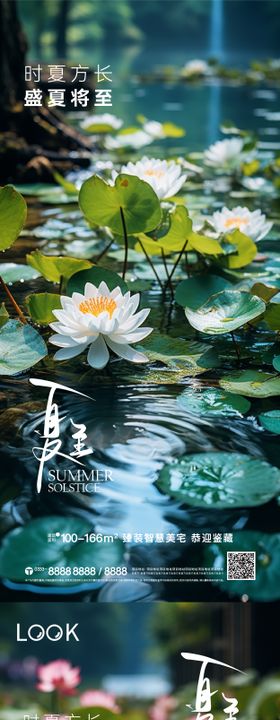 夏至节气海报唯美湖景二十四