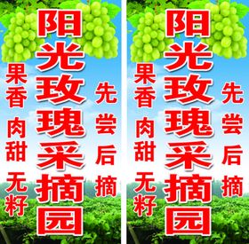 阳光玫瑰采摘园