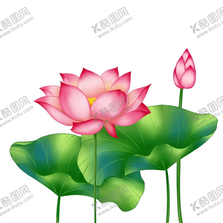 编号：44402406290649488862【酷图网】源文件下载-荷花元素