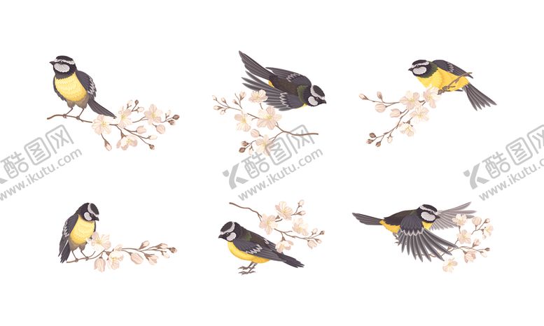 编号：42160004031118275948【酷图网】源文件下载-古风鸟插图