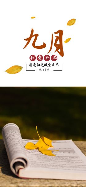九月你好9宣传单菊花水墨文艺
