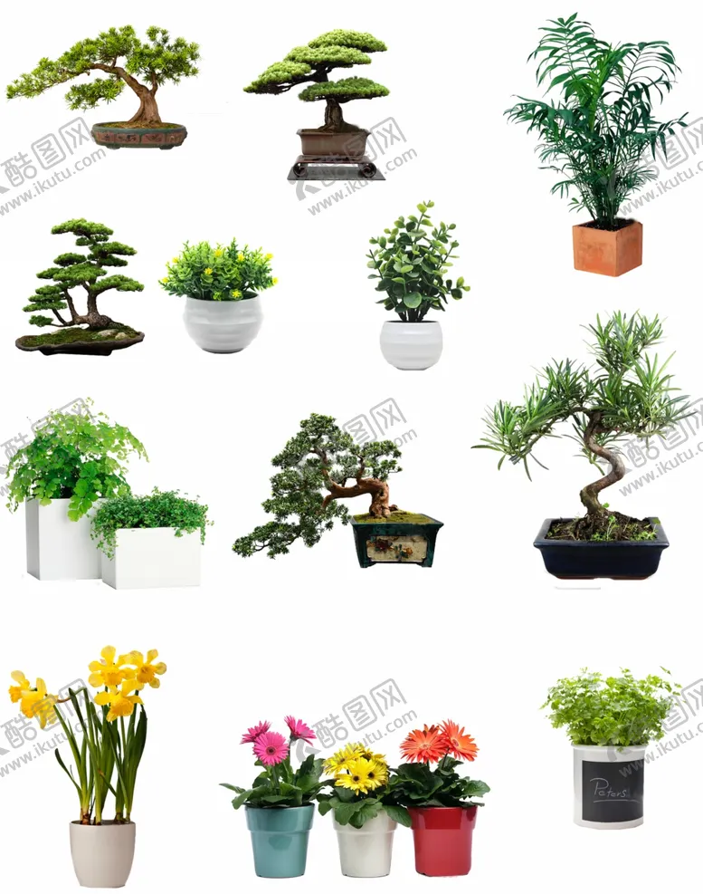 编号：93723506261508536941【酷图网】源文件下载-绿植盆景免抠高清图