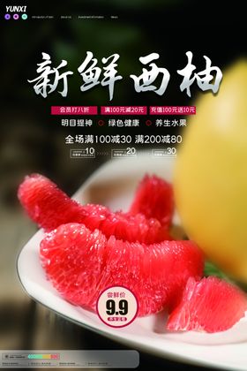 柚子海报
