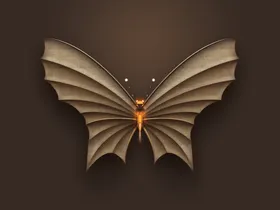 蝴蝶