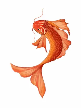 锦鲤插画古风夏日素材