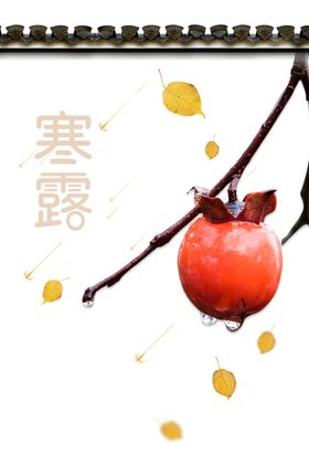 寒露节气