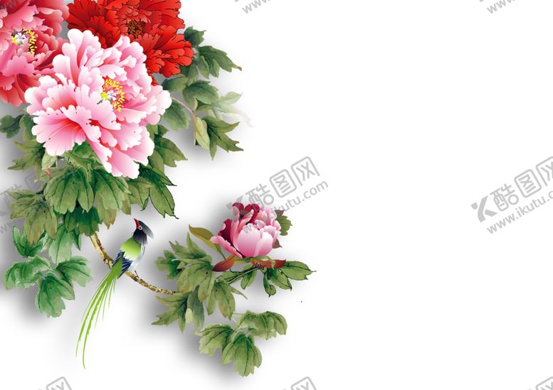 编号：30015010100835369661【酷图网】源文件下载-牡丹花