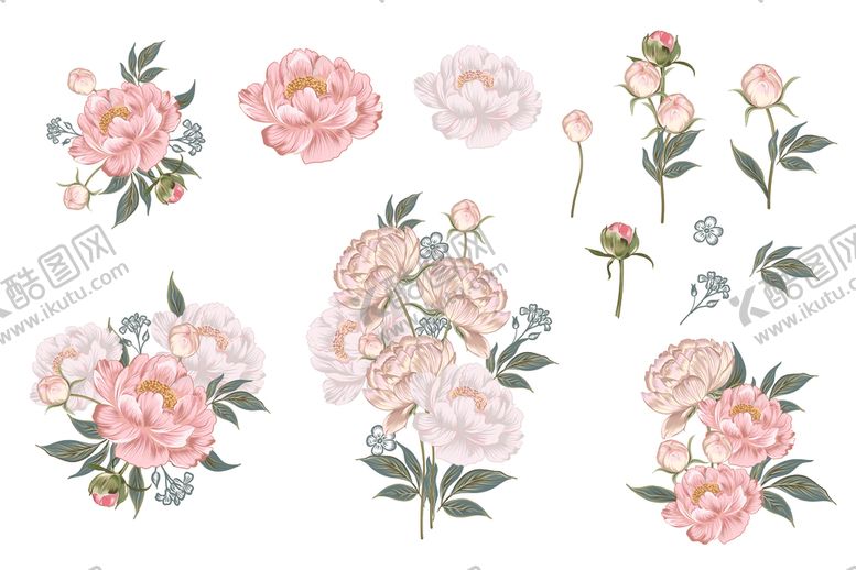 编号：57494604031002059341【酷图网】源文件下载-手绘牡丹