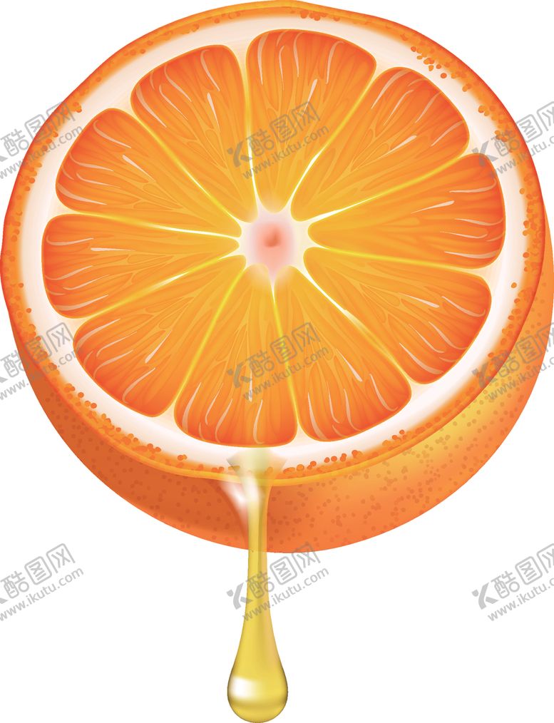 编号：63546301281936051149【酷图网】源文件下载-橙子汁