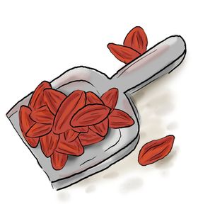 手绘一铲枸杞
