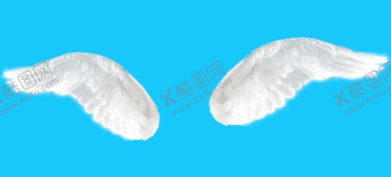 编号：77828009190631501004【酷图网】源文件下载-翅膀