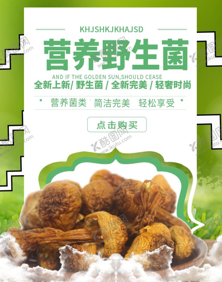 编号：38695105091346227064【酷图网】源文件下载-营养野生菌