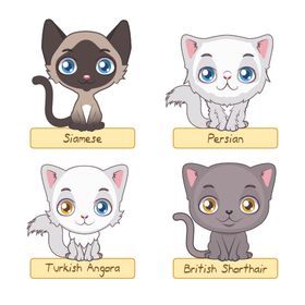 猫卡通