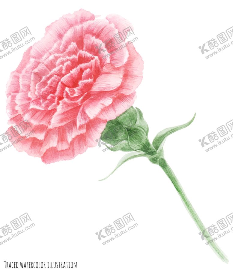 编号：02615309122049383046【酷图网】源文件下载-卡通康乃馨矢量可爱