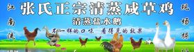 清蒸鹅盐水鹅