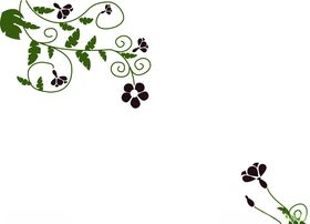 对角花 暗花 图案 花纹