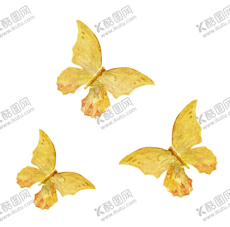 编号：54566309261312261264【酷图网】源文件下载-蝴蝶