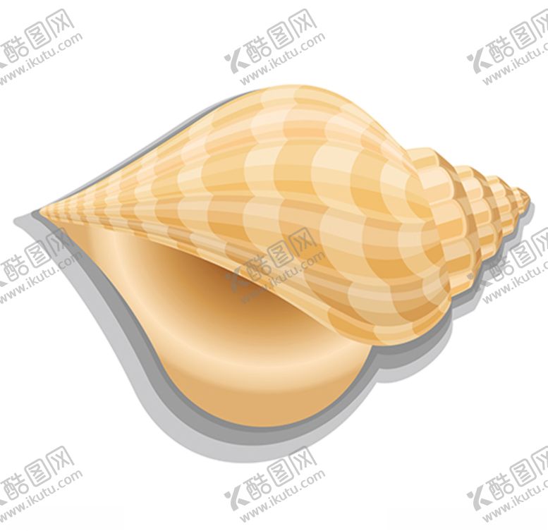 编号：40177510050718181453【酷图网】源文件下载-贝壳