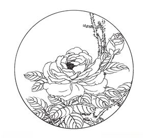 玫瑰