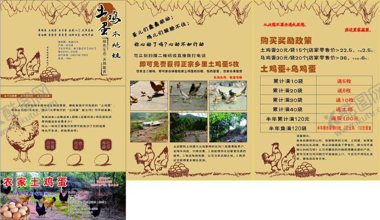 编号：89166402021417138878【酷图网】源文件下载-本地鸡海报