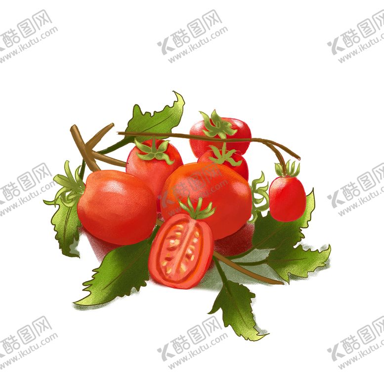 编号：93501609131353119423【酷图网】源文件下载-圣女果手绘素材小番茄插画新鲜小番茄