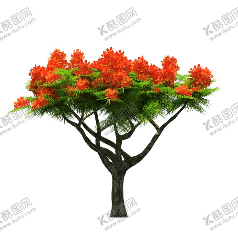 编号：38729609151749212109【酷图网】源文件下载-景观树