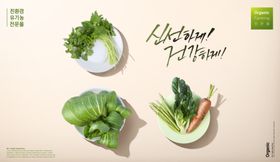 蔬菜海报