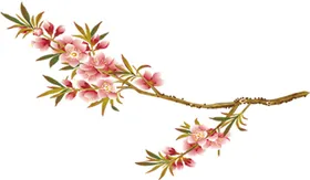 梅花桃花PNG手绘兰竹菊免扣素材