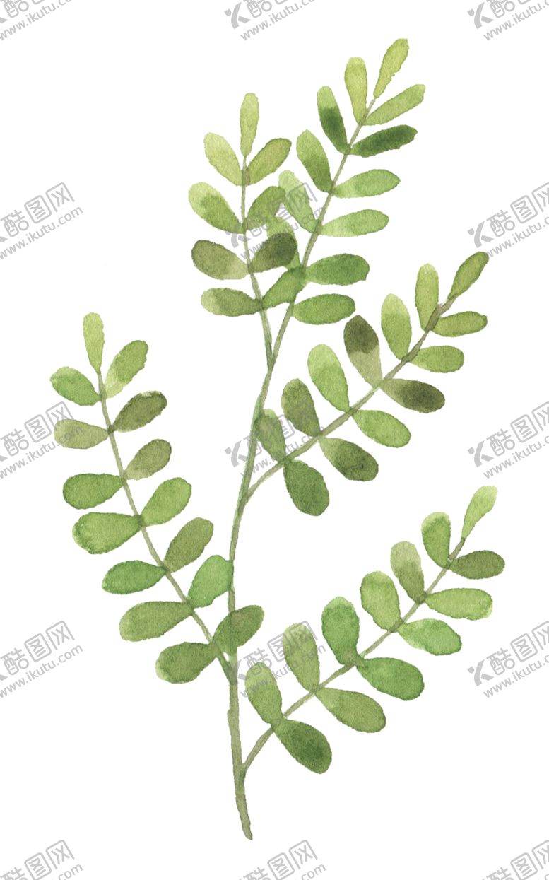 编号：86041205121051253695【酷图网】源文件下载-手绘植物花卉