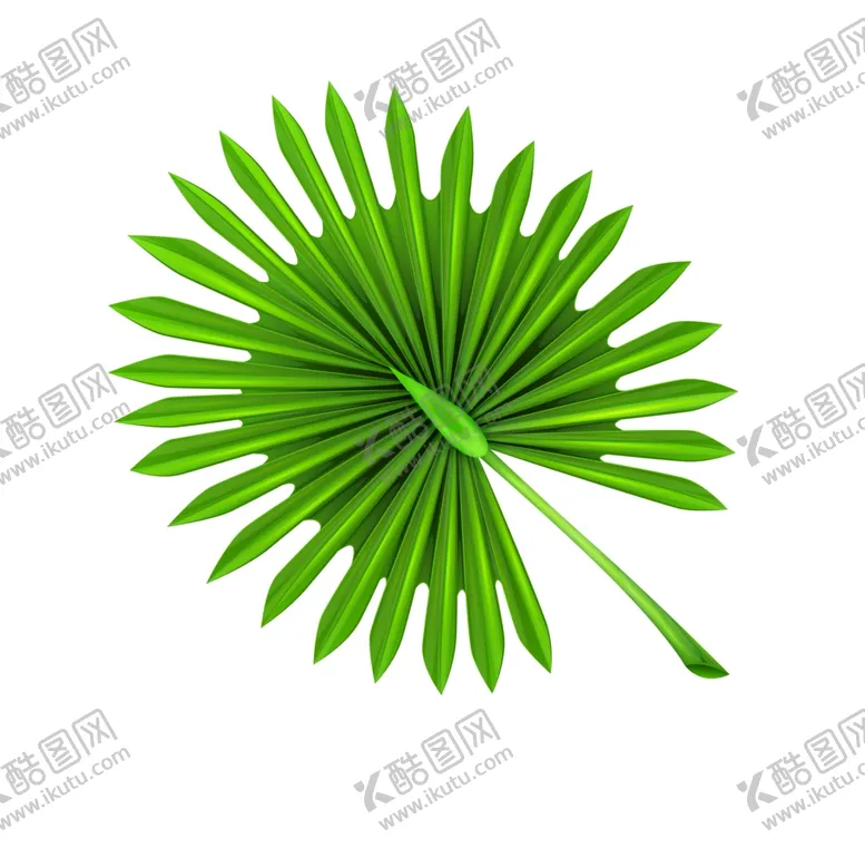 编号：81576002031948214375【酷图网】源文件下载-叶片