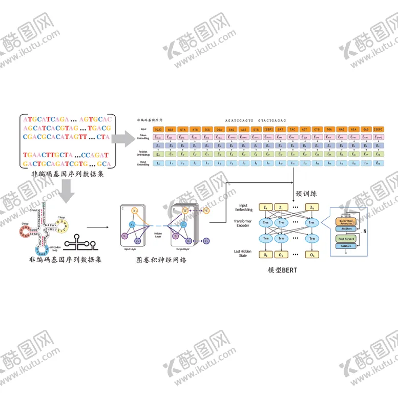 编号：75033702050643299175【酷图网】源文件下载-编码基因流程图