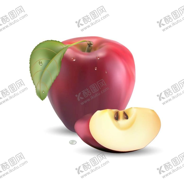 编号：09845109170122365498【酷图网】源文件下载-各种逼真绘制水果