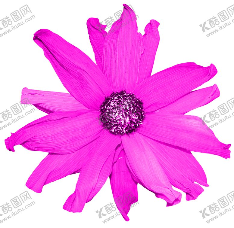 编号：25898709291501588770【酷图网】源文件下载-鲜花装饰